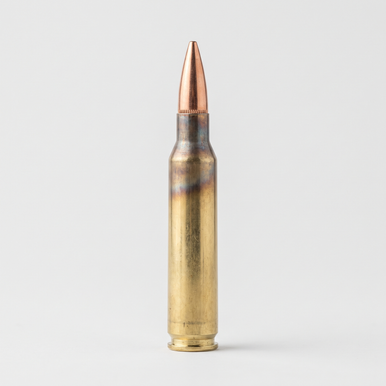 5.56x45mm 55gr FMJ