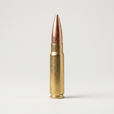 .300 Blackout 147gr FMJ